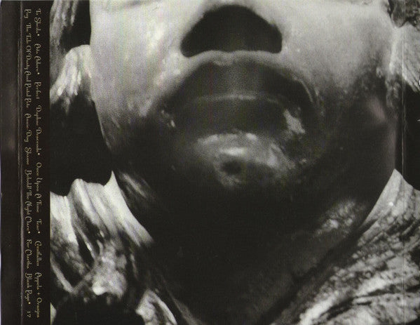 The Smashing Pumpkins : Adore (CD, Album)