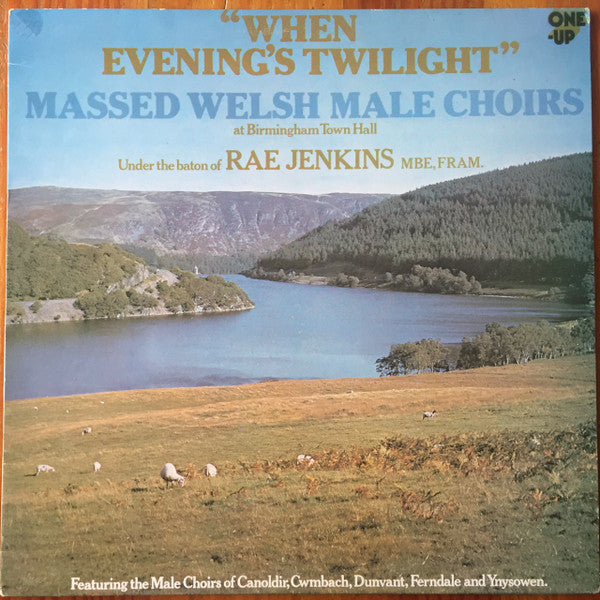 Rae Jenkins MBE, FRAM*, Massed Welsh Male Choirs : "When Evening's Twilight" Massed Welsh Male Choirs At Birmingham Town Hall (LP, Album, Club)