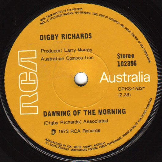 Digby Richards : New York City (Send My Baby Home) (7", Single)