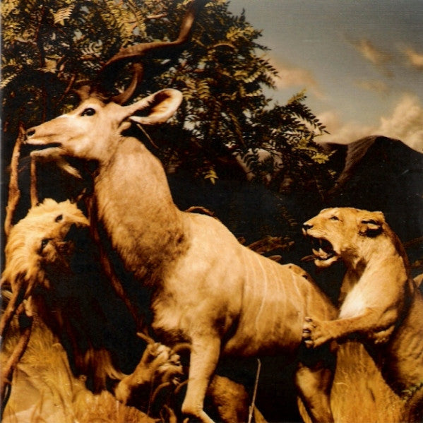 Interpol : Our Love To Admire (CD, Album)