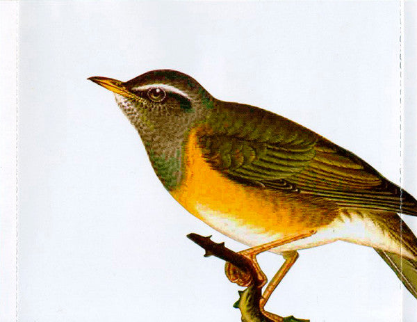 A Fine Frenzy : One Cell In The Sea (CD, Album)