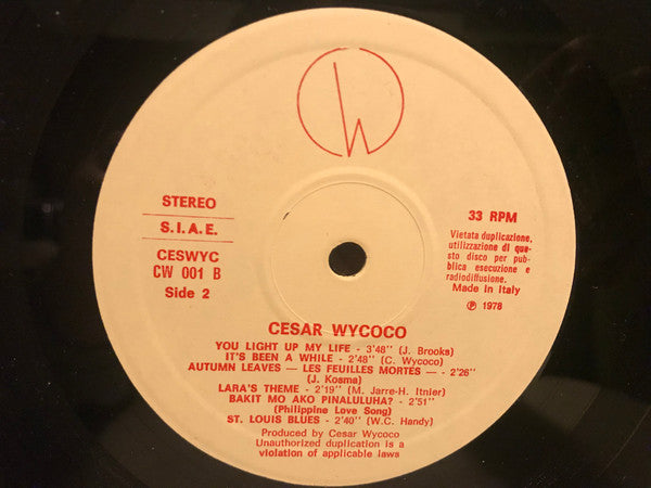 Cesar Wycoco (2) : You Light Up My Life (LP, Album)
