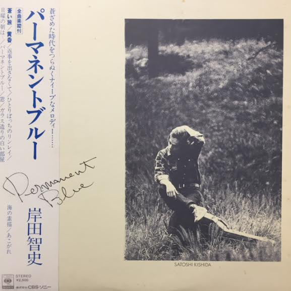 岸田智史* = Satoshi Kishida : パーマネントブルー = Permanent Blue (LP, Album)