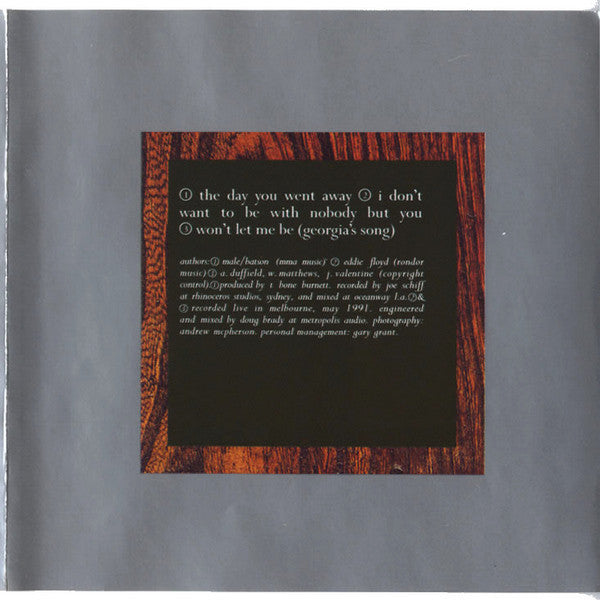 Wendy Matthews : The Day You Went Away (CD, Single)