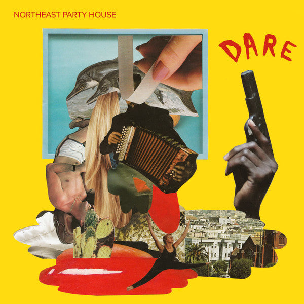 Northeast Party House : Dare (CD, Album)