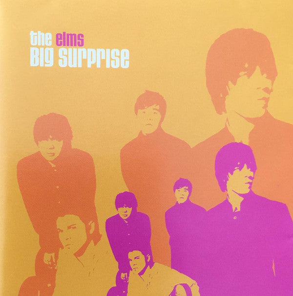 The Elms : The Big Surprise (CD, Album)
