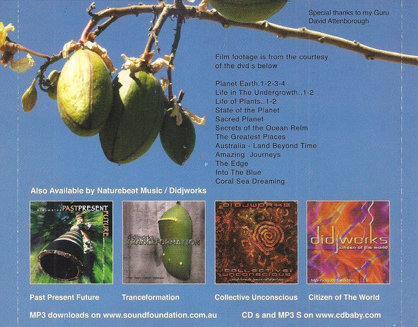 Globalnomad* : Environmentality (CD, Album + DVD-V, Album)