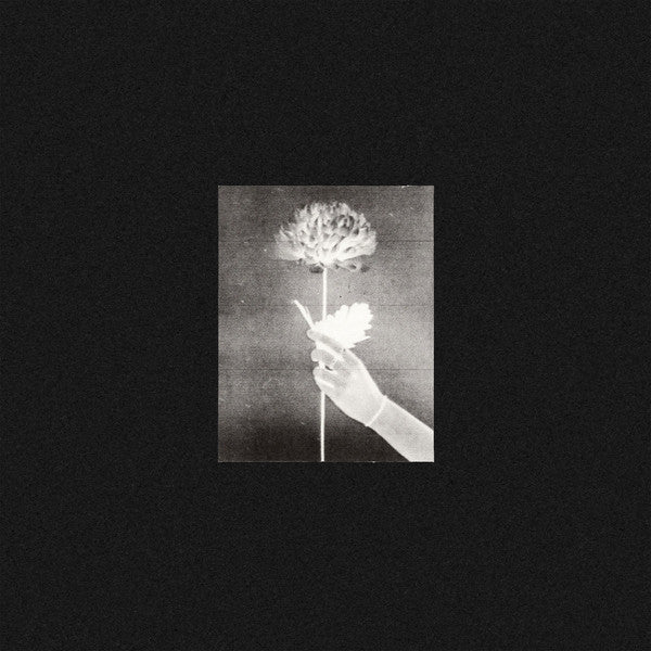 White Flowers : Day By Day (CD, Album)