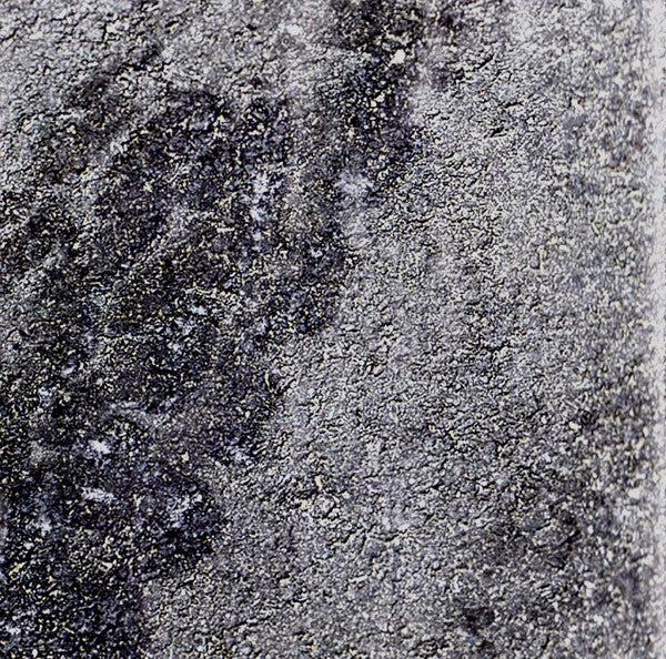 Tribalistas : Tribalistas (CD, Album, Copy Prot.)