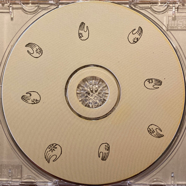 Devendra Banhart : Rejoicing In The Hands (CD, Album)