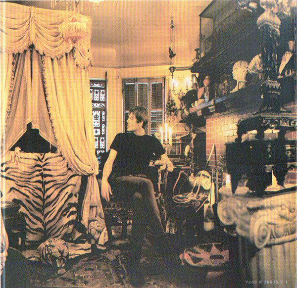 The Dandy Warhols : ...The Dandy Warhols Come Down (CD, Album)