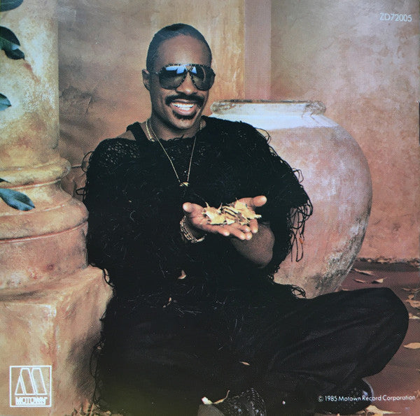 Stevie Wonder : In Square Circle (CD, Album)
