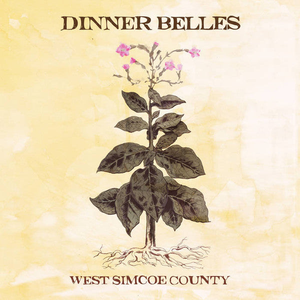 Dinner Belles : West Simcoe County (CD, Album)
