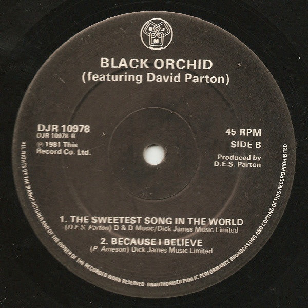 Black Orchid (6) Featuring David Parton : Wonderlicks (A Medley) (12")