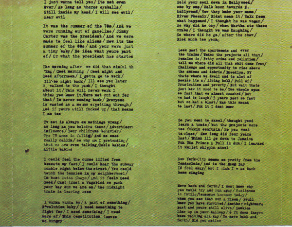 Japanther : Skuffed Up My Huffy (CD, Album)