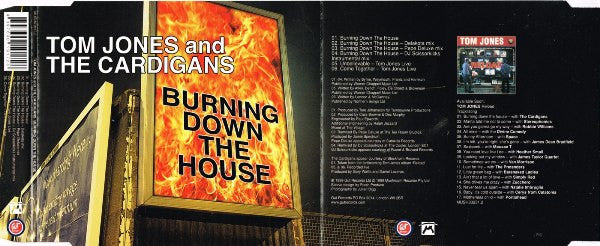 Tom Jones And The Cardigans : Burning Down The House (CD, Single)