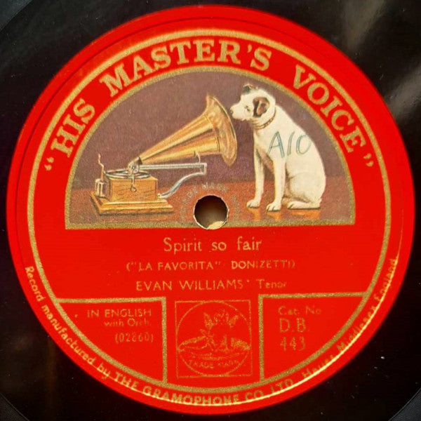 Evan Williams (3) : O Paradise ("La Favorita" - Donizetti) / Spirit So Fair ("L'Africaine" - Meyerbeer) (Shellac, 12", Mono)