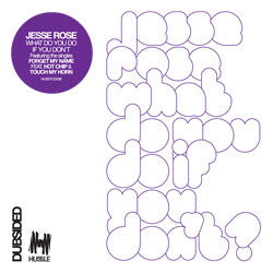 Jesse Rose : What Do You Do If You Don't? (CD, Album)