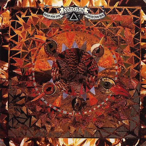 Levitation (2) : Need For Not (CD, Album)