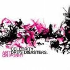 Celebrity Drug Disasters : Art or porn? (CD, Album)