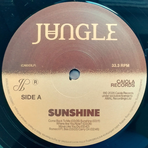 Jungle (12) : Sunshine (LP, Album)