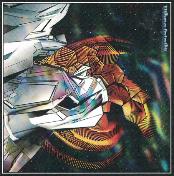 Various : Vibraspirit 11 (CD, Comp)