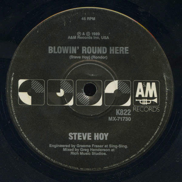 Steve Hoy (2) : Raindance (7", Single)