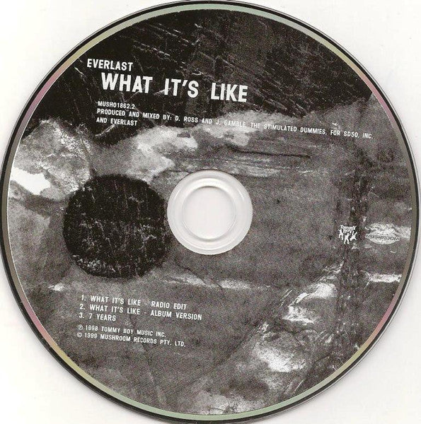 Everlast : What It's Like (CD, Single)