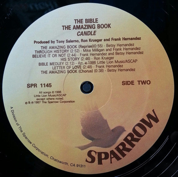 No Artist : The Bible The Amazing Book (LP, Album)