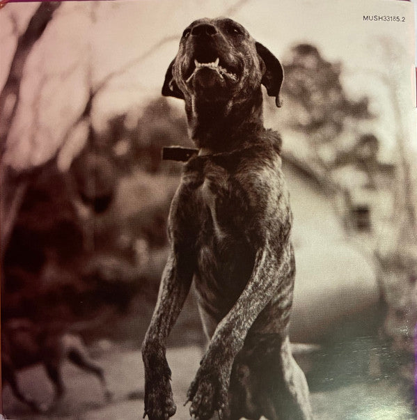 Everlast : Whitey Ford Sings The Blues (CD, Album)