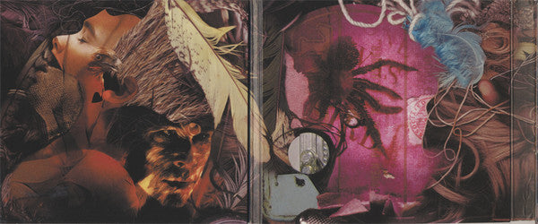 The Sleepy Jackson : Personality (One Was A Spider, One Was A Bird) (CD, Album)