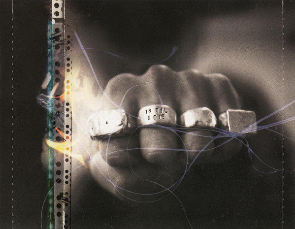 Bryan Adams : 18 Til I Die (CD, Album)