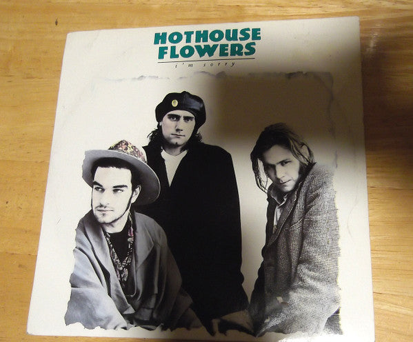 Hothouse Flowers : I'm Sorry (7", Single)