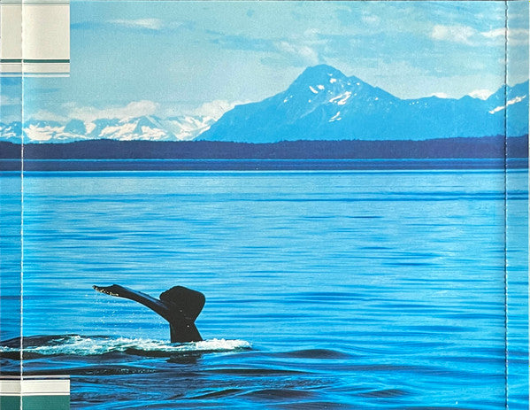 No Artist : Chorus Of Whales (CD, RE)