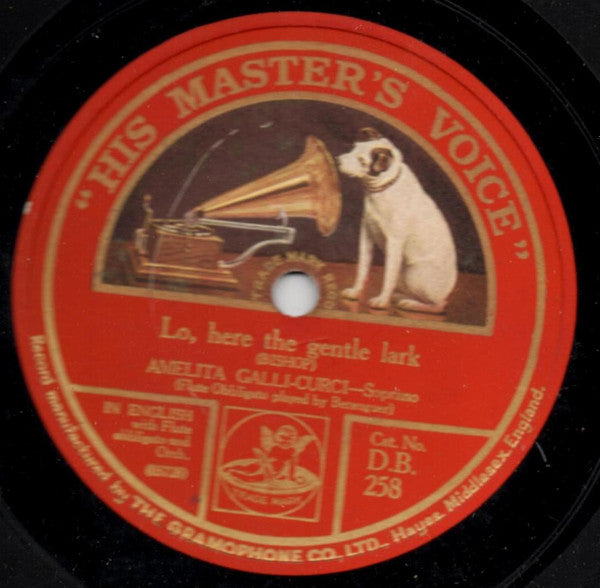 Amelita Galli-Curci : Echo Song / Lo, Here The Gentle Lark (Shellac, 12", Single, Lab)