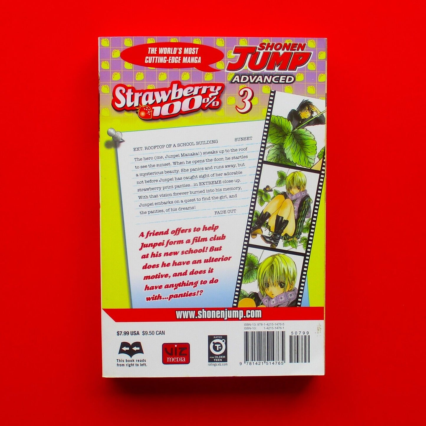 Strawberry 100% Manga Volume 3 by Mizuki Kawashita English 2005 VIZ Media