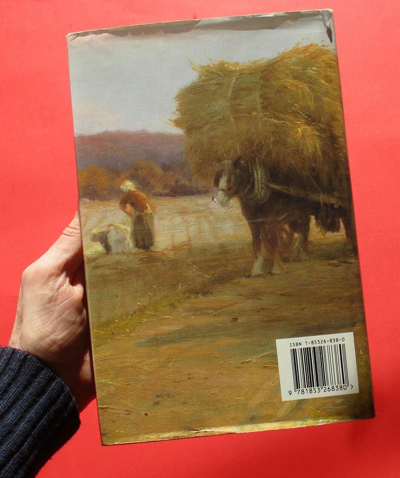 Tess of the D'Ubervilles by Thomas Hardy Wordworth Classics Hardcover