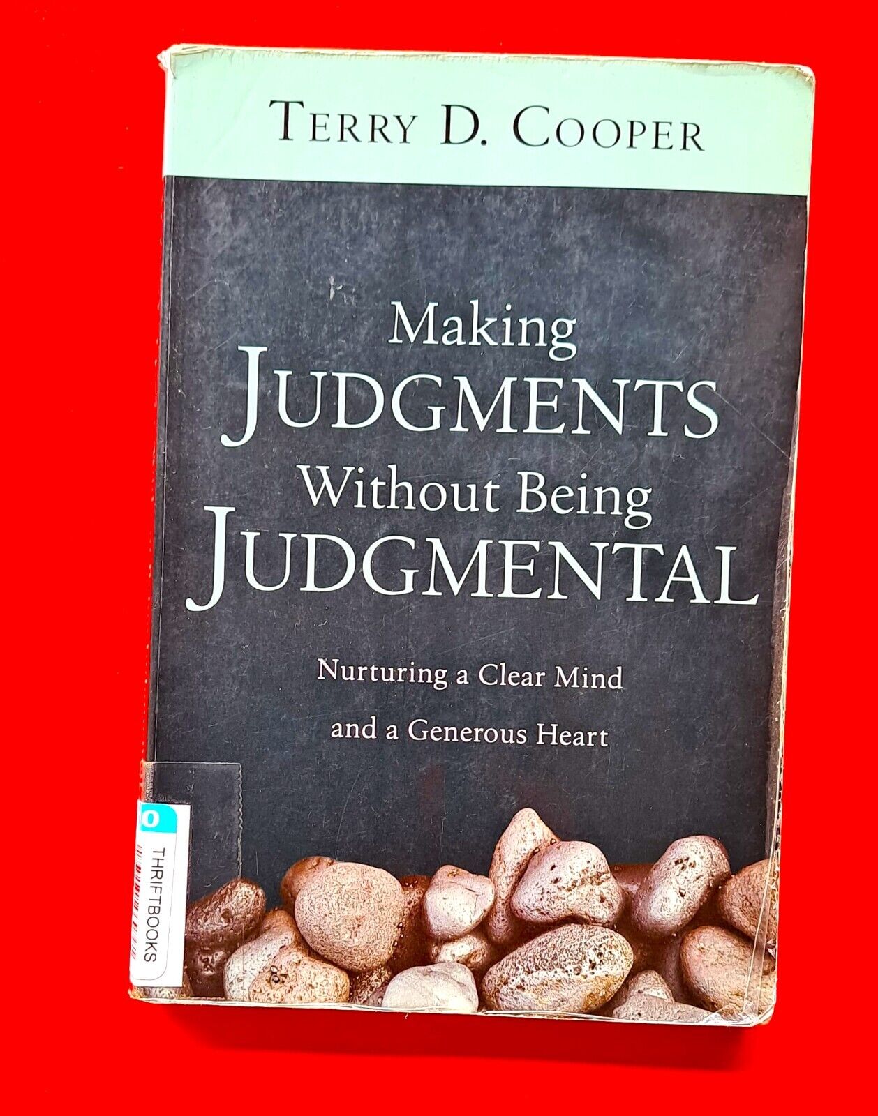 Making Judgments Without Being Judgmental: Nurturing a Clear Mind and a Generous
