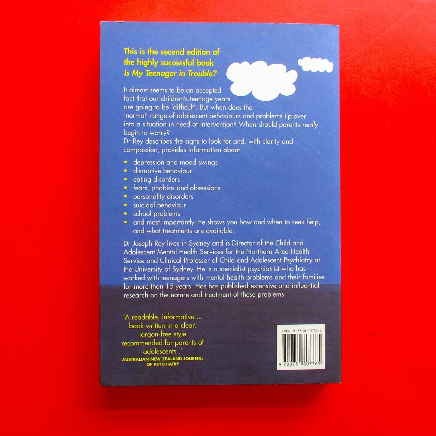 More Than Just the Blues: Understanding Serious Teenage Problems Paperback Book