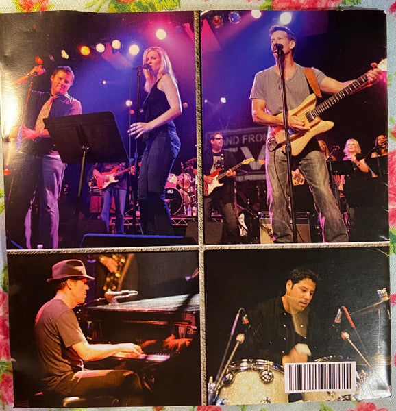 Band From T.V. : Hoggin' All The Covers (CD-ROM, Comp + DVD-V, DVD)