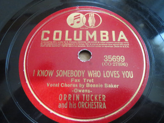 Orrin Tucker And His Orchestra : I Know Somebody Who Loves You / Take Care (Shellac, 10")