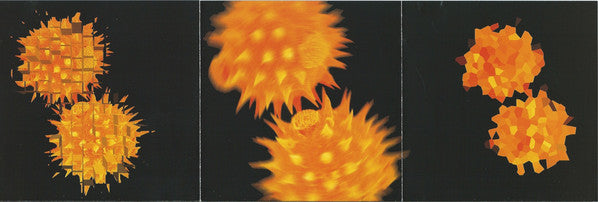Ozric Tentacles : Floating Seeds Remixed (CD, Album)