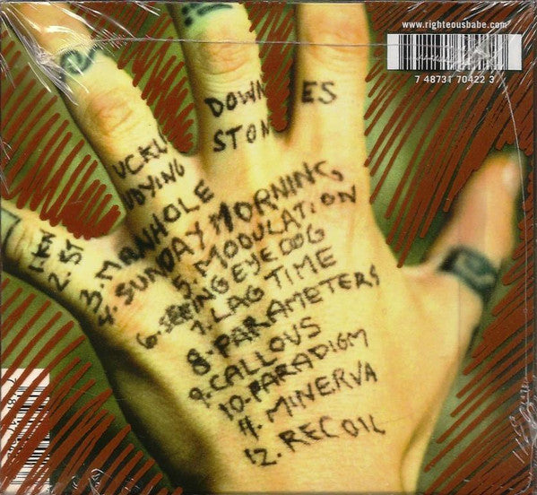 Ani DiFranco : Knuckle Down (CD, Album)