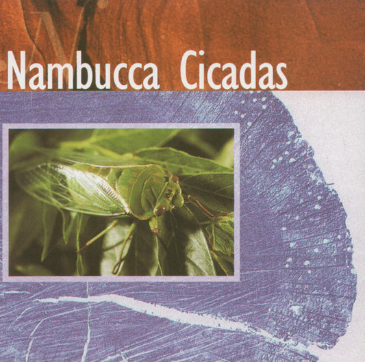 Stewart D'Arrietta : Nambucca Cicadas (CD, Album)