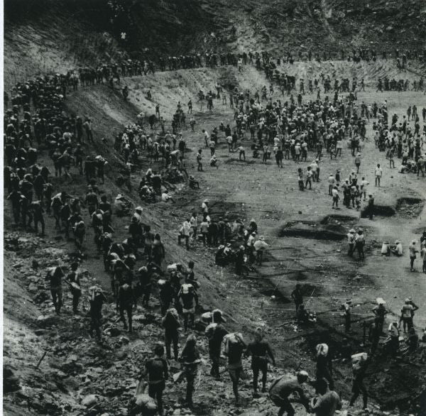 Jerry Harrison: Casual Gods : Jerry Harrison : Casual Gods (CD, Album)