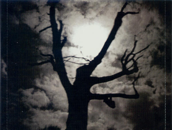 The Tragically Hip : Day For Night (CD, Album)