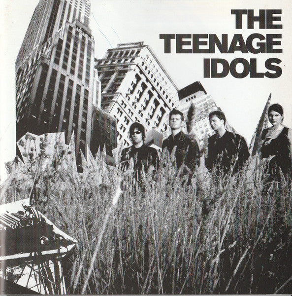 The Teenage Idols : The Teenage Idols (CD, Album)