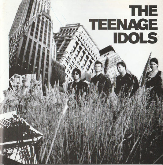 The Teenage Idols : The Teenage Idols (CD, Album)