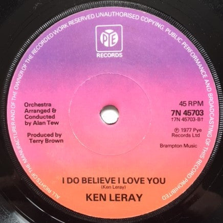 Ken Leray : Together We Are Beautiful (7", Sol)