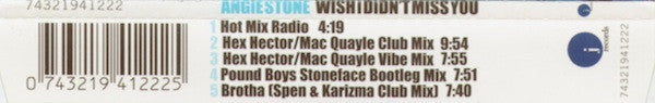Angie Stone : Wish I Didn't Miss You (CD, Maxi)